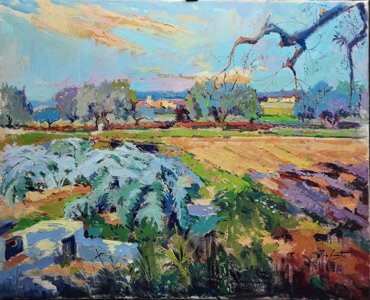 «L’hort de Feliu»